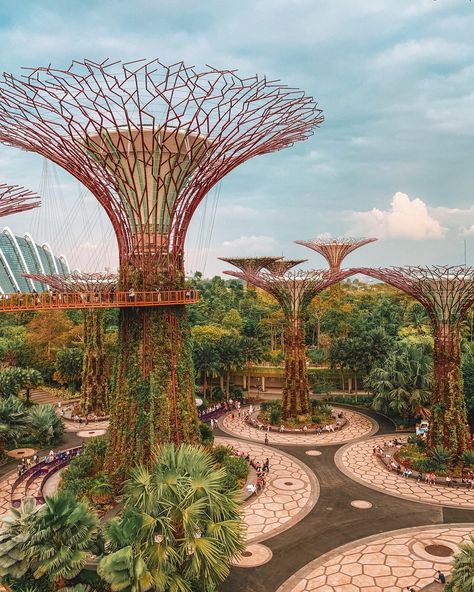 Supertree Grove, Gardens By The Bay Singapore, Travel Singapore, Singapore Garden, City Gardens, Flower Dome, Singapore Botanic Gardens, Visit Singapore, Indoor Waterfall