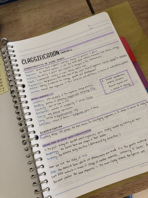 Organized Writing Aesthetic, Note Taking Organization, School Organization Notes Layout, Quick Aesthetic Notes, Study Format Notes, Cute Way To Take Notes, Cute Note Layouts, How To Set Out Notes, Lab Notebook Organization