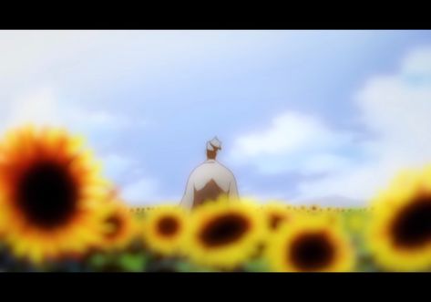 Beautiful Cinematography, Samurai Champloo, Cinematography, Sunflower, Anime