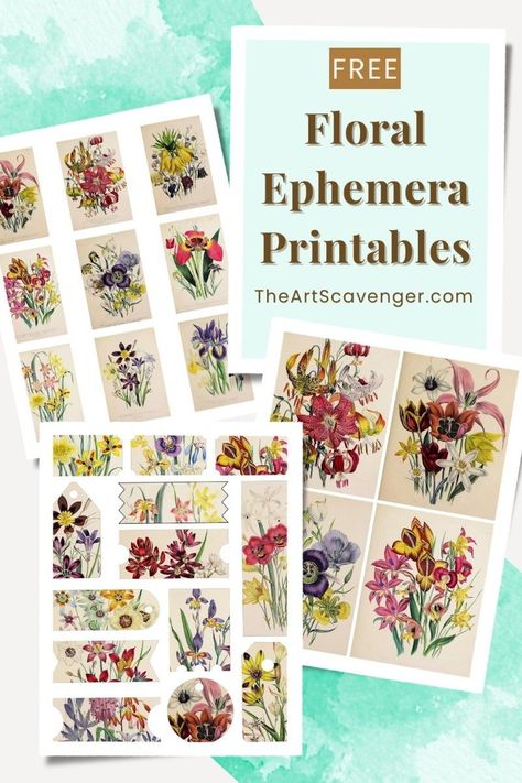 Free Floral Ephemera Printables — The Art Scavenger Free Vintage Printables Ephemera, Book Page Poster, Free Botanical Printables, Flower Printables, Botanical Printables, Ephemera Printables, Vintage Paper Printable, Free Collage, Journaling Collage