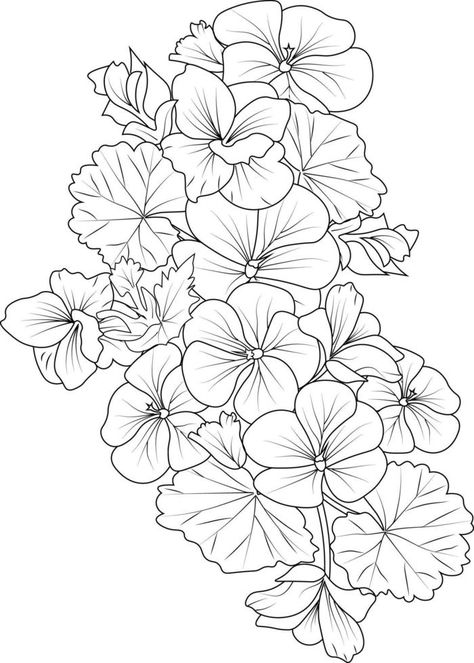 Set of a decorative stylized geranium flower isolated on white background. Highly detailed vector illustration, doodling and zen doodle style, tattoo design blossom pelargonium flowers. Geranium Flower Tattoo Design, Pelargonium Tattoo, Geranium Tattoo Black And White, Geranium Flower Tattoo, Geranium Tattoo, Flower Tattoo Stencil, Grandma Tattoo, Hydrangea Tattoo, Flower Leg Tattoos