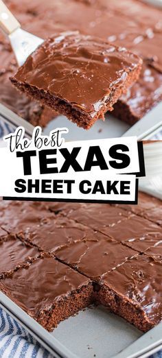 Simple Texas Sheet Cake, Taste Of Home Texas Sheet Cake, Ree Drummond Texas Sheet Cake, Texas Sheet Cake Small Batch, Texas Sheet Cake Easy, Texas Sheet Pan Cake, Texas Sheet Pan Cookies, Texas Sheet Cake In 9x13 Pan, Texas Sheet Cake With Coffee