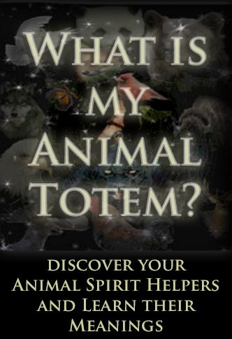 What is my Animal Totem? I am a Raven, just thought it was interesting... Interesting Animal, Totem Animals, Spells Magic, Native American Totem, Animal Spirit Guide, Totem Animal, Witchcraft Spells, Animal Spirit Guides, Animal Medicine