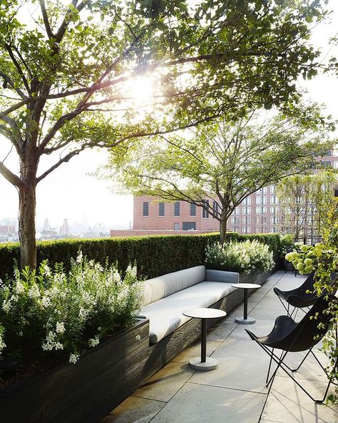 Outdoor • Instagram Monochromatic Apartment, Penthouse Terrace, Terrasse Design, Roof Garden Design, Roof Gardens, Rooftop Terrace Design, New York Architecture, Rooftop Design, Apartment Terrace