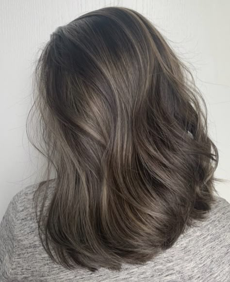 Coloring Brunette Hair, Medium Ash Brown Hair No Highlights, Thick Blonde Balayage, Color And Highlights Brown, Color Hair Ideas Brown, Asian Hair Colour Brown, Ash Brown Hair With Curtain Bangs, Balayage Cool Brown, Korean Balayage Hair Ash Brown