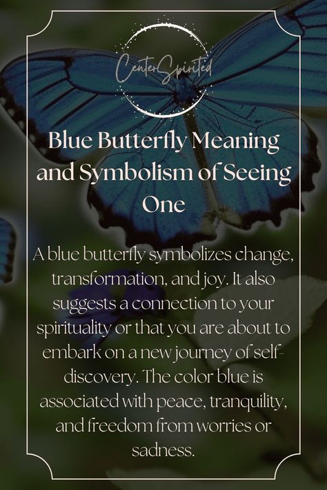 Blue Butterflies Aesthetic, Blue Butterfly Quotes, Butterfly Types And Meanings, Blue Butterfly Tattoo Meaning, Meaning Of Blue Butterfly, Meaning Of Butterflies, Butterfly Symbolism Meaning, What Does A Butterfly Tattoo Symbolize, Blue Butterfly Meaning