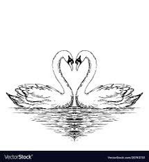 Swan Drawing, Swan Tattoo, Two Swans, Key Tattoos, Small Tats, Heart Illustration, Hand Drawn Vector Illustrations, Heart Drawing, Tattoo Flash Art