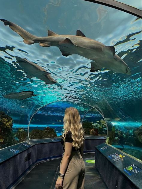 Toronto Zoo Canada, Toronto Picture Ideas, Aquarium Pose Ideas, Aquarium Pictures Ideas, Aquarium Photo Ideas, Aquarium Instagram Pictures, Aquarium Poses, Aquarium Outfit Ideas, Toronto Aquarium