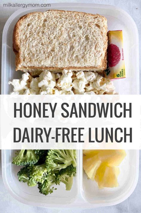 Your kids will love this easy dairy-free sandwich bento lunch box. Meatless and vegan, fruit and veggie. Enjoy! Honey Sandwich, Sandwich Bento, Milk Allergy Mom, Dairy Free Lunch, Dairy Free Cooking, Lunch Packing, Bento Kids, Sandwich Lunch, Lunch Box Ideas