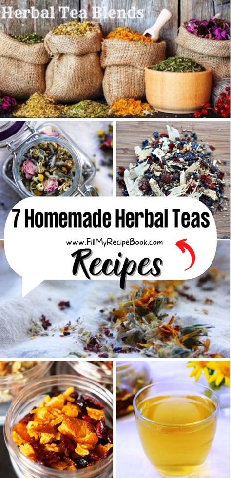 A range of healthy herbal teas made at home with natural ingredients Homemade Herbal Tea, Herbal Tea Recipes Homemade, Tea Blends Recipes, Herbal Tea Garden, Herbal Tea Recipes, Herbal Tea Benefits, Teas Recipes, Healing Tea, Homemade Tea