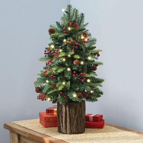 Real Mini Christmas Tree, Prelit Christmas Tree, Small Christmas Trees Decorated, Small Christmas Tree, Pre Lit Christmas Tree, Hammacher Schlemmer, Tabletop Christmas Tree, Miniature Christmas Trees, Black Christmas Trees