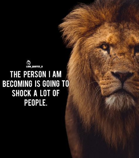 Lion Memes Motivation, Lion Quotes Inspiration Motivation, Lion Motivation Quotes, Lion Attitude Quotes, Never Underestimate Quotes, Lion Mindset, Motivational Quotes For Success Business, Underestimate Quotes, Lion Mentality