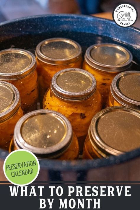 Easy Food Preservation, Food Preserving Ideas, Canning For Winter, Garage Canning Storage, Preserving Fruit In Jars, Things To Can In The Winter, Winter Canning Ideas, Canning And Freezing, What Can You Can