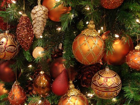 Orange Christmas interiors | Recent Photos The Commons Getty Collection Galleries World Map App ... Orange Christmas Tree, Christmas Orange, Christmas Decor Trends, Copper Christmas, Orange Christmas, Gold Christmas Decorations, Christmas Photography, Colorful Christmas Tree, Christmas Tree Ideas