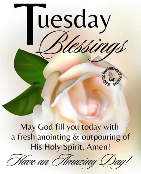 Good Morning Tuesday Blessings, Blessed Sabbath, Tuesday Morning Quotes, Blessed Tuesday, Good Morning Afternoon Evening Night, Thursday Prayer, Have A Blessed Day Inspiration, Happy Friday Morning, Morning Afternoon Evening Night