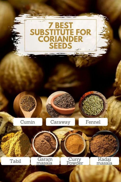 7 Best Substitute For Coriander Seeds Substitute For Coriander, Coriander Seed, Hosting A Dinner Party, Cooking Game, Coriander Seeds, Food Facts, Cooking Techniques, What You Eat, Kitchen Tips