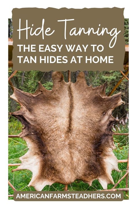 Hide Tanning: The Easy Way to Tan Hides at Home Tanning A Deer Hide, Hide Tanning Frame, How To Tan Deer Hide, How To Tan A Hide, Tanning Animal Hides, Diy Animal Trap, Rabbit Skin Projects, Tanning Hides Diy, Tanning Rabbit Hides