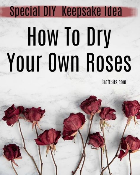 How To Dry Your Own Roses — CraftBits.com Drying Roses Upside Down, Drying Roses Diy, How To Dry Out Roses, Best Way To Dry Roses, How To Persevere Roses, How To Dry Roses Diy, Old Roses Diy What To Do With, How To Save Roses, How To Preserve A Rose