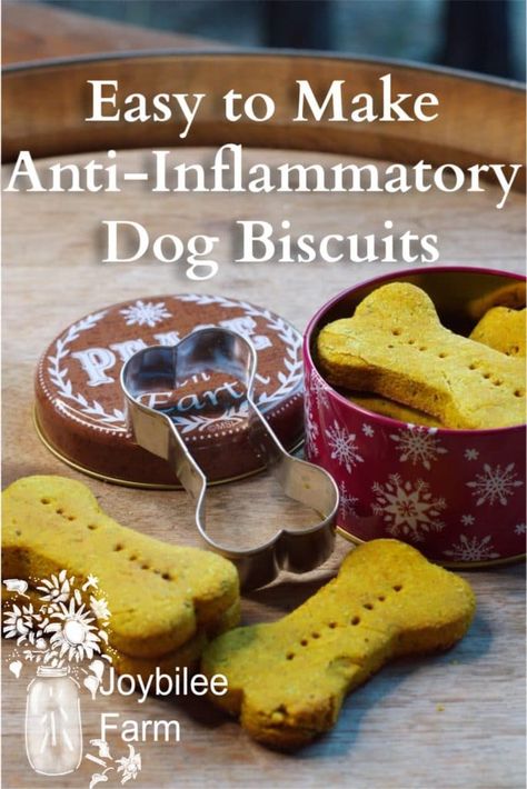 Anti-Inflammatory Dog Biscuits that are Quick and Easy | Doggy Cake, Dog Biscuit Recipe, Healthy Dog Biscuits, Homemade Dog Biscuits, Dog Treat Business, Pet Treats Recipes, Treat Business, Pet Recipes, Dog Treats Grain Free