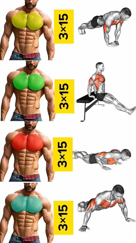 Chest Workout Routine, Latihan Dada, Gym Workout Guide, Workout Training Programs, Workout Program Gym, Bodybuilding Workouts Routines, Best Gym Workout, Gym Workout Planner, Bodybuilding Workout Plan