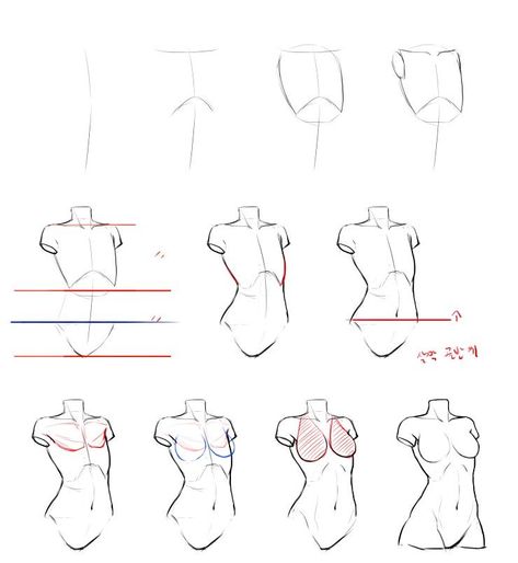 Drawing Anime Bodies, Female Anatomy Reference, Human Body Drawing, Drawing Female Body, Couple Drawing, Drawing Eyes, Drawing Hair, Female Torso, Body Sketches