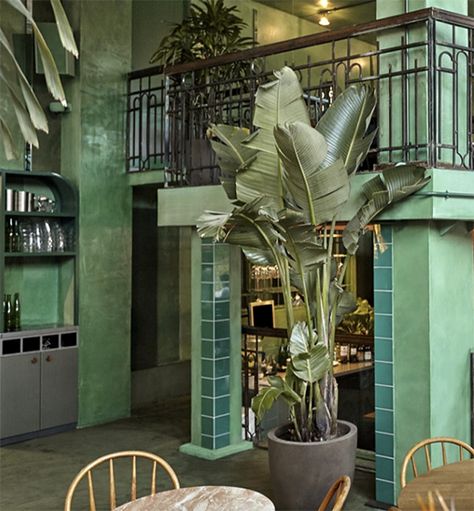 wear this there: le bar botanique. Fern Bar, Palm Fronds, Styling Inspiration, Upstairs Bathrooms, Eclectic Interior, Decorating Blogs, Travel Lifestyle, An Eye, Modern Vintage