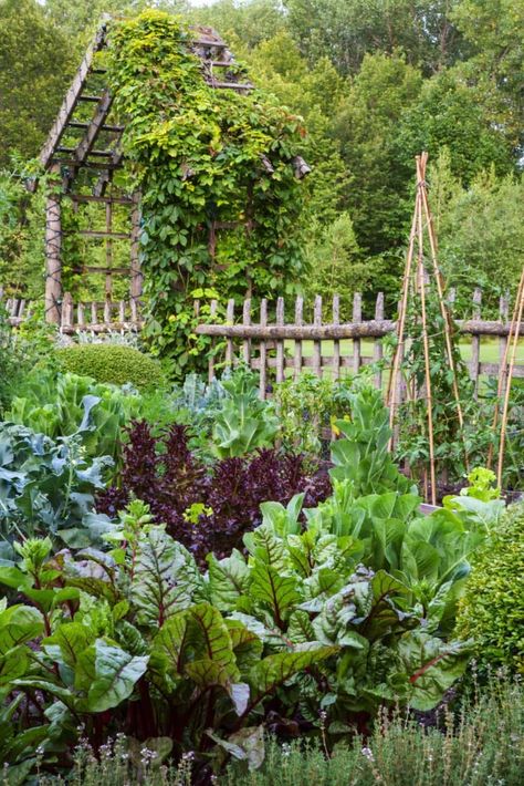 Fenced Vegetable Garden, Edible Landscape, Garden Boxes Raised, Kitchen Gardens, Potager Garden, Edible Landscaping, Garden Inspo, Veg Garden, Inspire Me Home Decor