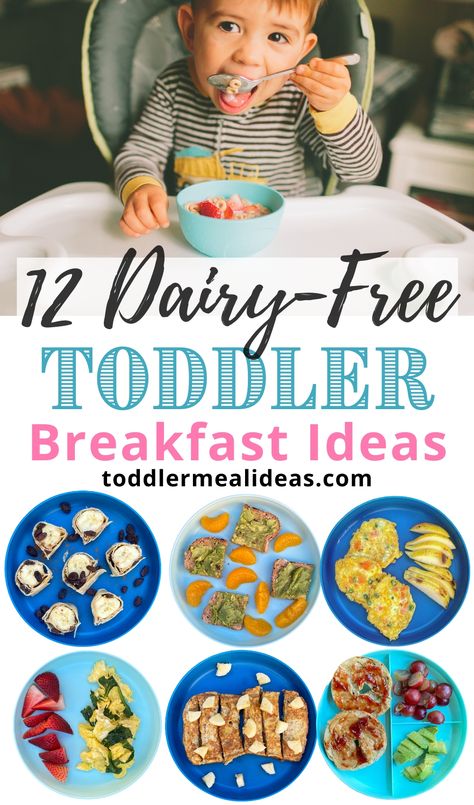 A list of dairy-free toddler breakfasts that are mom and toddler approved. Real, easy, quick, and healthy dairy-free toddler breakfasts ideas. Even if your toddler isn't dairy-free they are sure to love these fun breakfast ideas! #toddler #toddlerfood #dairyfree Non Dairy Breakfast, Non Dairy Breakfast Ideas, Dairy Free Recipes For Toddlers, Breakfast Ideas Toddler, Breakfast For Toddlers, Dairy Free Recipes For Kids, Dairy Free Baby, Toddler Breakfast Ideas, Mom And Toddler