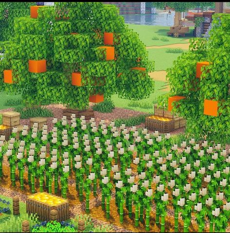 Minecraft Village Structures, Corn Maze Minecraft, Minecraft Tomato Farm, Minecraft Melon Farm Ideas, Sugarcane Farm Minecraft Aesthetic, Minecraft Rice Field, Minecraft Sunflower Field, Pumpkin Patch Minecraft, Minecraft Cactus Farm