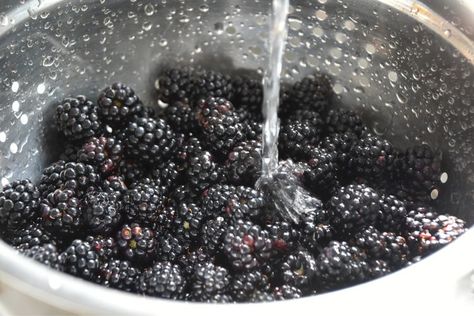 Cleaning Berries, How To Store Grapes, Freeze Celery, Store Celery, How To Clean Strawberries, How To Freeze Celery, How To Store Celery, Blackberry Benefits, Celery Recipes