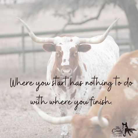 Livestock Quotes, Ffa Banquet, Race Quotes, Barrel Racing Quotes, Fb Quotes, Western Quotes, Cowboy Quotes, Racing Quotes, Letter Board Quotes