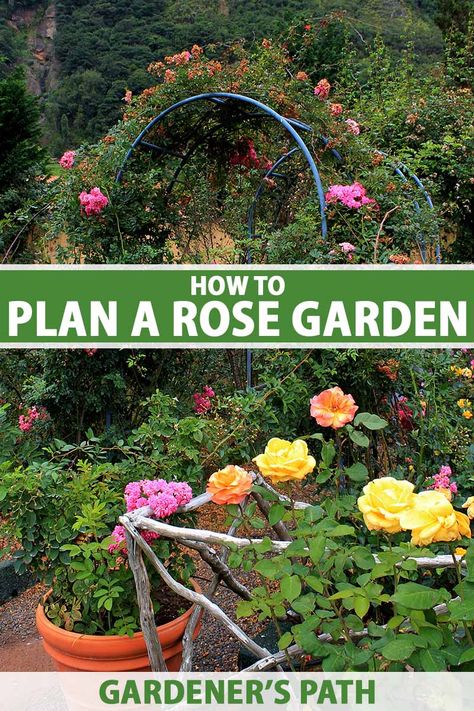 Planting A Rose Garden, Small Rose Garden Design Backyard Ideas, Rose Flower Bed Landscaping Ideas, Rose Garden Cottage, What To Plant With Roses Landscapes, How To Start A Rose Garden, Rose Garden Plans Design, Rose Garden Bed Ideas, How To Make A Rose Garden