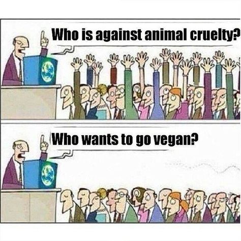 The sad truth, but I think times are changing. Do you agree? 🌱 👉 Sign the Pledge to Be Vegan for Life 📷: @vegan.meme #vegan #vegans #veganshare #meme #veganism Vegan Meme, Vegan Jokes, Vegan Facts, Vegan Memes, Animal Activism, Vegan Quotes, Why Vegan, Animal Liberation, Vegan Humor