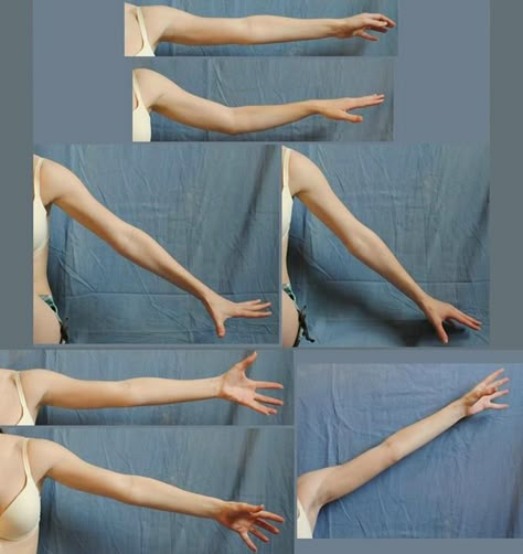 Arm Anatomy, Hand References, Arm Drawing, Hand Drawing Reference, Body Reference Drawing, Anatomy For Artists, Anatomy References, Hand Reference, Anatomy Poses