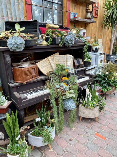 vineland ontario watering can Piano Planter, Trumpet Aesthetic, Piano Garden, Decor With Mirrors, Aesthetic Greenery, Flower Arrangement Workshop, Gardening Tattoo, Piano Crafts, Gardener Aesthetic