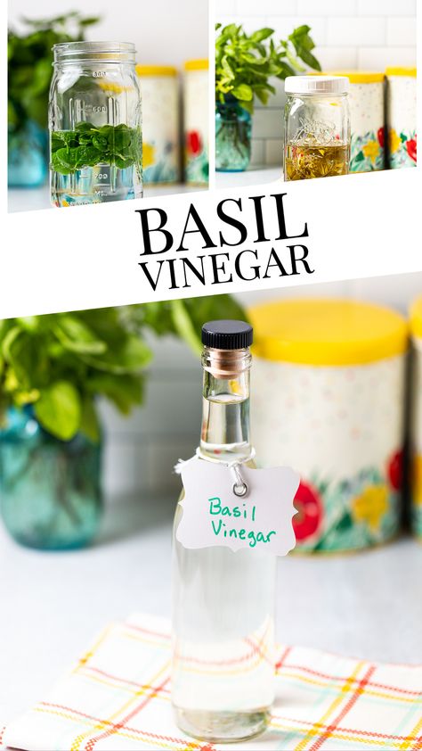 Easy Homemade Basil Vinegar - time does most of the work in this delicious herb infused vinegar!  All you need is basil and vinegar and you can have the fresh summer flavor of basil all year long!  In the middle of winter, drizzle some on cherry tomatoes and it's like a little breath of summer! Basil Vinegar, Fresh Basil Recipes, Detox Drinks Flat Tummy, Herbal Vinegar, Vinegar Recipes, Flavored Vinegars, Infused Vinegars, Summer In A Bottle, Food Tool