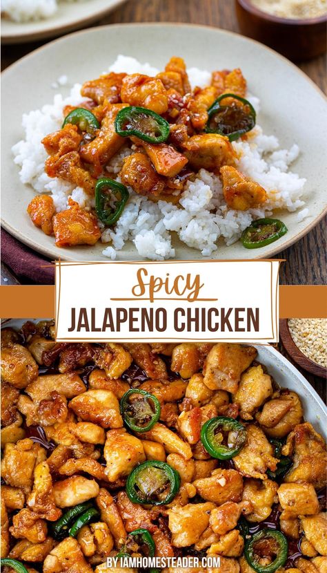 two images of spicy jalapeno chicken one is overhead showing the recipe in a pan and the other is from the side angle, showing the dish on top of a bed of white rice, in a bowl. Spicy Jalapeno Chicken, Oat Recipes, Spicy Chicken Recipes, Jalapeno Chicken, Health Dinner Recipes, Chicken And Rice, Chicken Dishes Recipes, Asian Cooking, Poultry Recipes