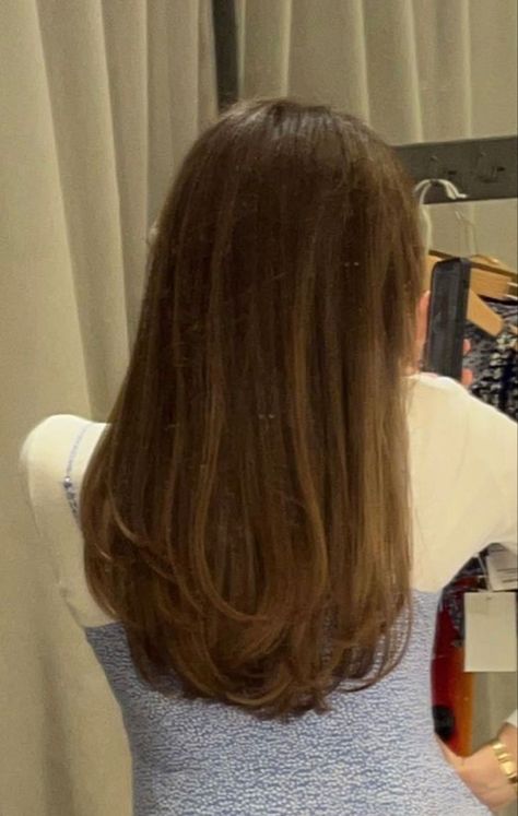 Hair Cuts Mid Length Straight, Long Blended Layers With Curtain Bangs, Haircut Inspiration Thick Hair, Medium Long Haircut Women, Haircuts Woman Long, Mild Layers Haircut, Long To Medium Length Haircut, Mid Length Hair With Light Layers, Subtle Layered Haircut