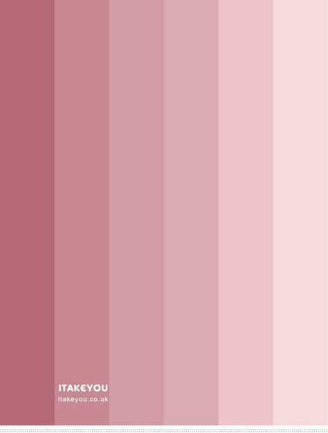 Balletcore Color Palette, Pink Color Palate, Home Wall Colour, Nail Salon Interior, Pretty Hurts, Pantone Colour Palettes, Business Branding Inspiration, Unique Flower Arrangements, Soft Pink Theme