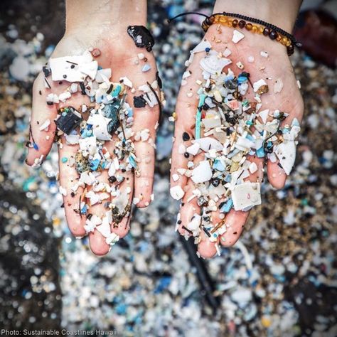 Tell Shell Oil: Stop Your Plans To Mass-Produce Dangerous Microplastics | Take Action @ The Rainforest Site Honolulu City, Save The Rainforest, Diving Underwater, Gas Giant, Save Our Oceans, Marine Conservation, Plastic Pollution, The Rainforest, Le Respect