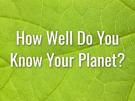 The Reader’s Digest Earth Day Quiz Earth Day Quiz, General Knowledge Quiz Questions, Velvet Sky, Knowledge Quiz, Buzz Aldrin, Earth Day Activities, Trivia Questions, How Many People, Photosynthesis