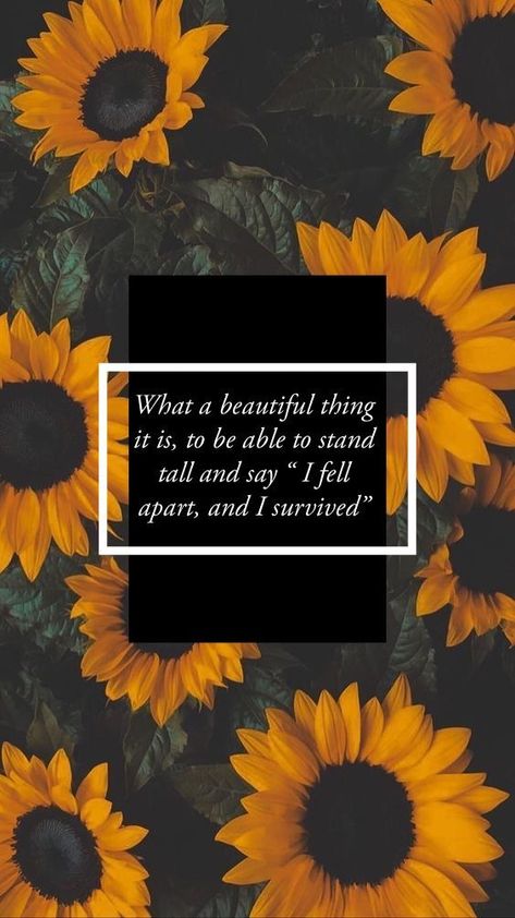 Life Quote Wallpapers, Sunflower Wallpaper Quotes, Quotes With Beautiful Background, Sunflower With Quote, Sunflower Quotes, Positive Quotes Wallpaper, Postive Life Quotes, Sunflower Wallpaper, Quote Backgrounds