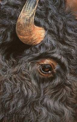 Bison Painting - Bison Up Close by David Stribbling Bison Pictures, Buffalo Art Print, Buffalo Pictures, Beauty Papers, Buffalo Painting, Close Up Art, Buffalo Animal, Buffalo City, Bison Art