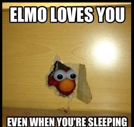 Elmo Memes, Elmo Wallpaper, Sesame Street Memes, Elmo And Cookie Monster, Funny Pix, Crazy Funny Pictures, Goofy Pictures, Very Funny Pictures, Funny Reaction Pictures