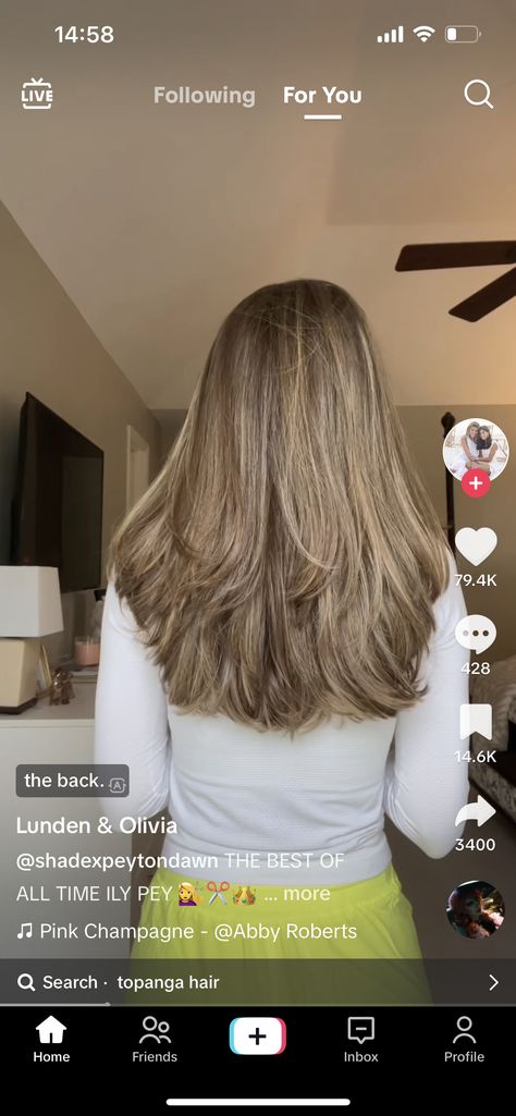 U Shaped Layers Long Hair, Lunden And Olivia Hair, U Shape Layers, Olivia Bennett Hair, Olivia Stallings Hair, Hair Winter 2023, Scandi Hair, Goals For Summer, Expensive Brunette