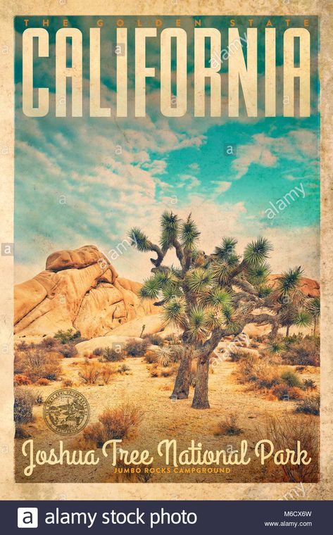 Vintage Joshua Tree National Park Travel Poster Tree Lookout, Joshua Tree House, America Images, America Photo, The Joshua Tree, Lookout Tower, Image Vintage, Joshua 1, California National Parks