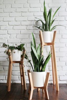 Cactus, yuka, succulentes, les plantes vertes sont les stars de notre déco ! Découvrez nos bons conseils pour les sublimer et créer un véritable jardin d'intérieur ! Cross Planter, نباتات منزلية, Trendy Plants, Modern Plant Stand, Wooden Plant Stands, Diy Plant Stand, Plant Decor Indoor, Plant Stand Indoor, Diy Holz