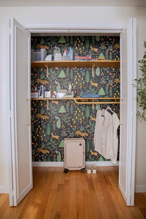 Menagerie Peel & Stick Wallpaper curated on LTK Wallpaper Lined Wardrobe, Wall Papered Closet, Wallpaper Inside Cupboards, Wallpaper Armoire, Wallpaper In A Closet, Wallpaper Closet Ideas, Wallpaper Inside Cabinets, Wallpaper In Closet, Wallpaper Closet Doors