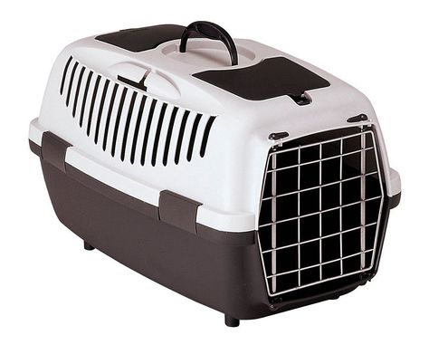 Cats And Rabbits, Bird Clothing, Inside The Car, Cat Cages, Dog Feeder, Chinchillas, Cat Bag, Cat Carrier, Important Documents