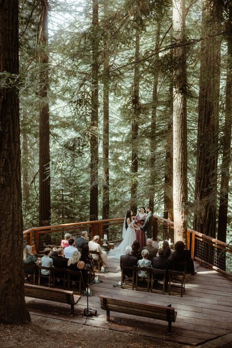 A romantic elopement wedding at the Redwood Deck in Portland Oregon, with a first dance under a waterfall and a candlelit dinner. Oregon Winter Wedding, Red Woods Elopement, Elope In The Woods, Forest Wedding Venues Oregon, Elope Vs Wedding, South Lake Tahoe Wedding, Capella By The Sea Oregon, Washington Elopement Locations, Washington Forest Wedding